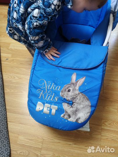 Санки детские с откидным верхом Nika