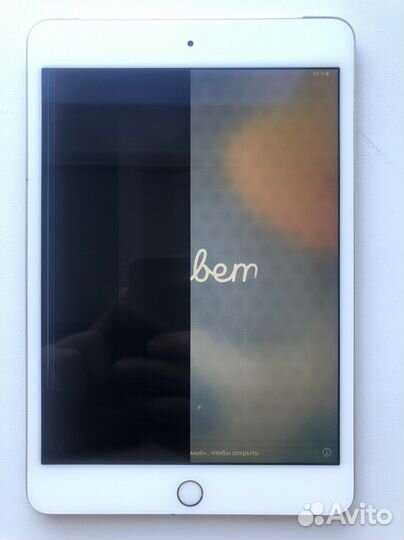 iPad mini 4 128gb