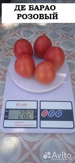 Семена томатов помидор СССР