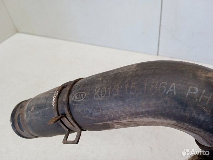 Патрубок радиатора верхний Kia Sportage 1 2.0 1999