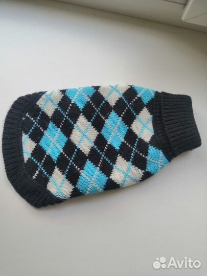 Одежда для кошки