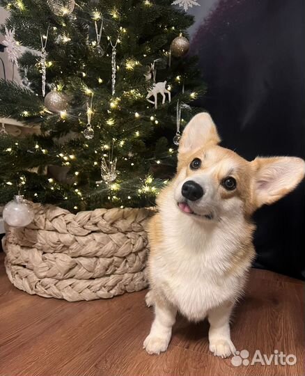 Корзина юбка под елку