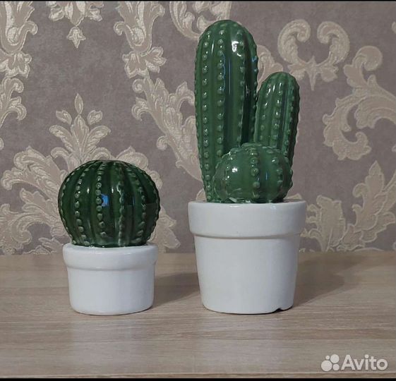Кактус для интерьера
