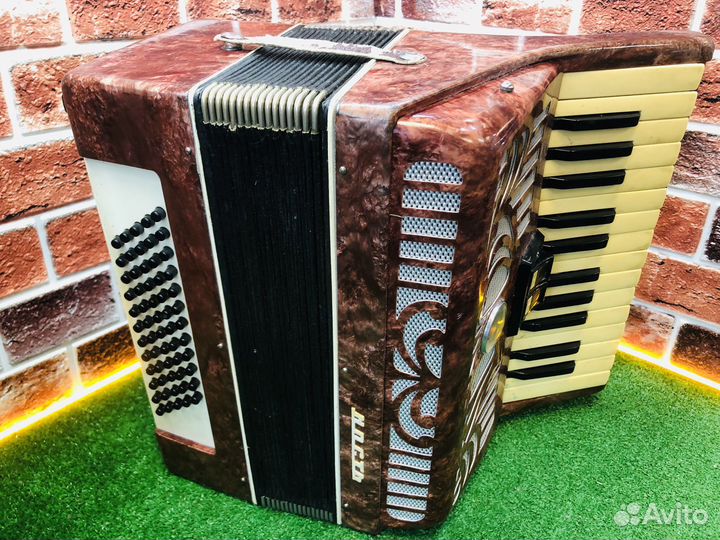 Z.Аккордеон юность-3