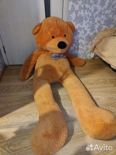Плюшевый медведь