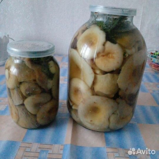 Грибы соленые
