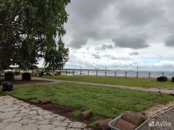 Полевой газон 