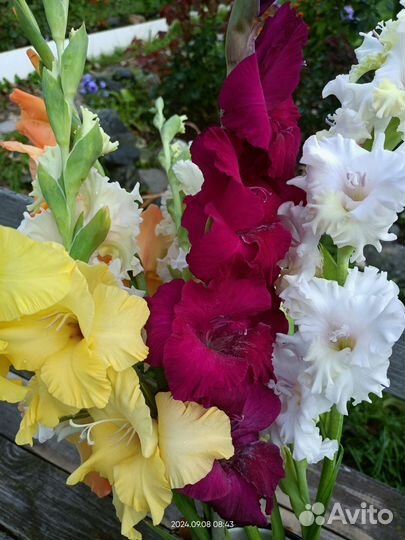 Букет цветов