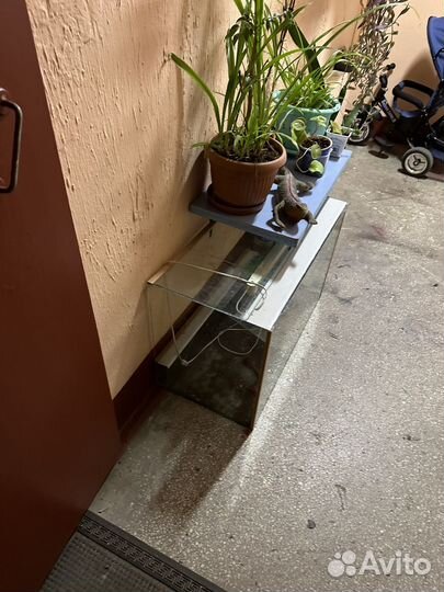 Террариум для рептилий