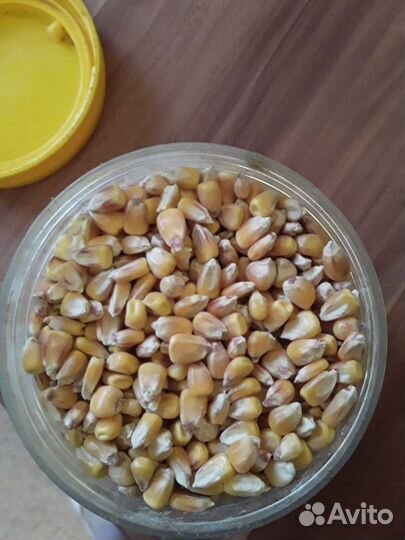 Пшеница, отруби, горох, овёс, известняковая крупка