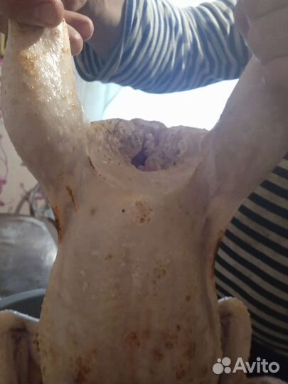 Мясо бройлера и петушков