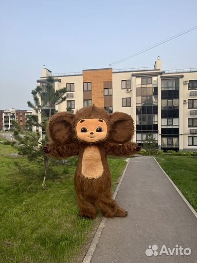 Поздравление.Чебурашка.Выписка.День рождения