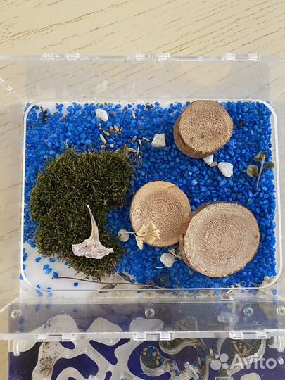 Муравьиная ферма без муравьев б/у