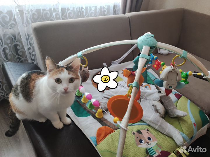 Развивающий коврик tiny love сказочный лес