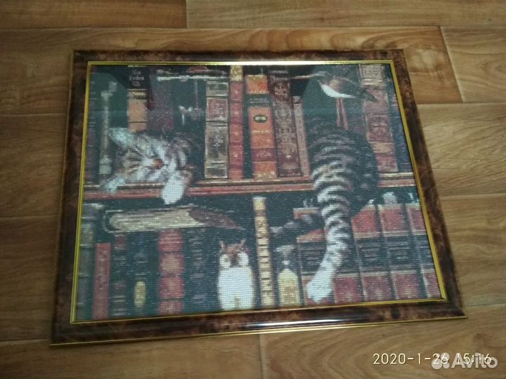 Картина алмазная мозаика. Кот в книгах