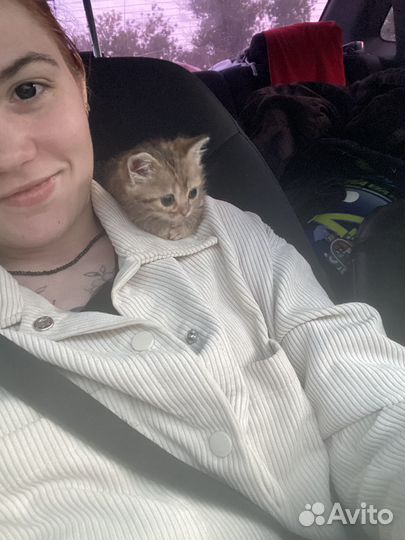 Передержка