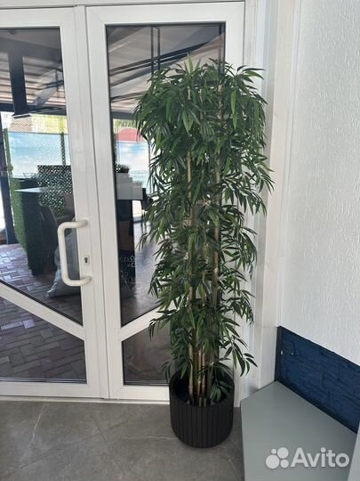 Искусственное дерево бамбук