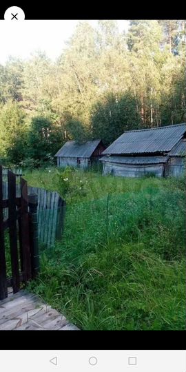 Дом 43,1 м² на участке 13,7 сот.