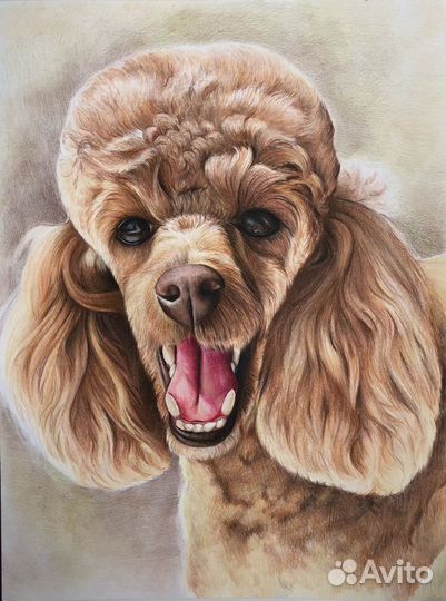 Портреты и картины на заказ