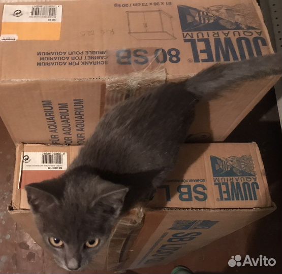 Тумбы для аквариумов juwel