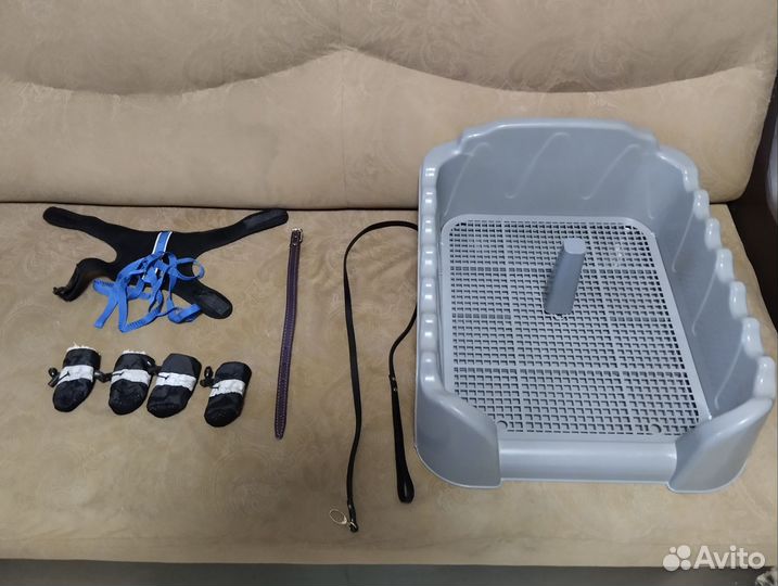 Аксессуары для животных