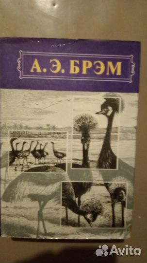 Брэм жизнь животных в 3-х томах