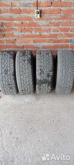Gislaved NordFrost 100 205/55 R16