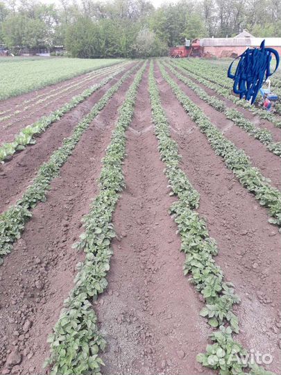 Фрезирование огорода