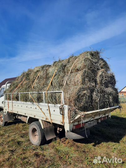 Сено в маленьких рулонах