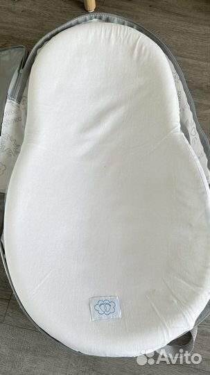 Кокон зевушка