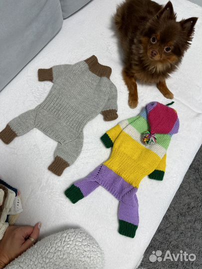 Одежда для маленьких пород собак