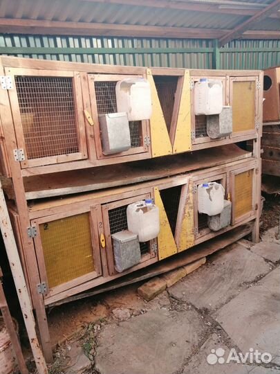 Клетки для кроликов, цена за всё