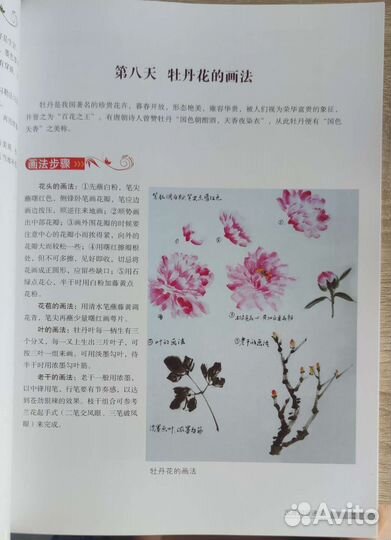 Книга по китайской живописи 