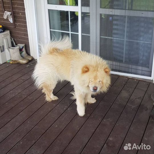 Москитные сетки гармошка