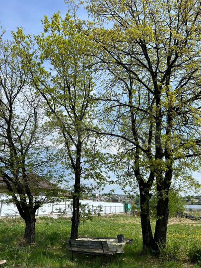 Дом 70 м² на участке 15 сот.