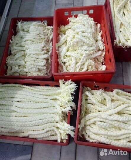 Технолог Сыровар