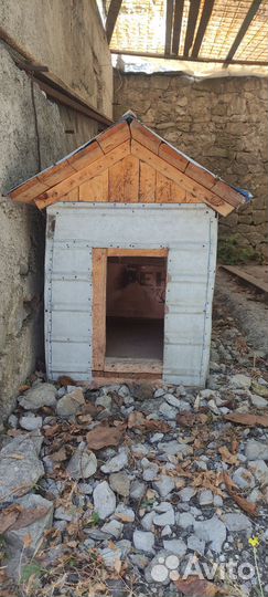 Собачья будеа