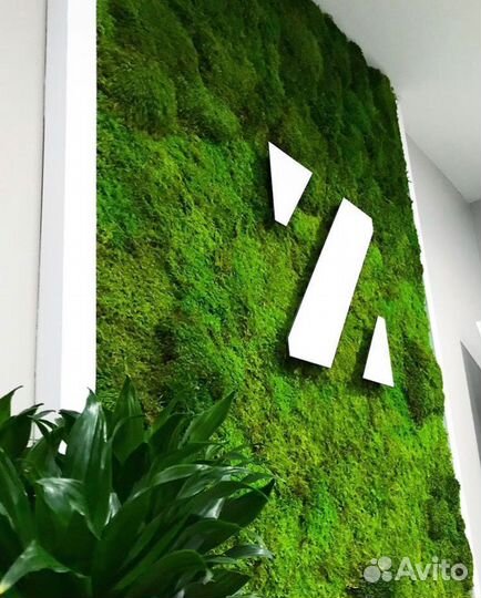 Логотип из мха без растений