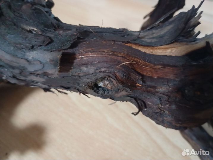 Коряга виноградный ствол