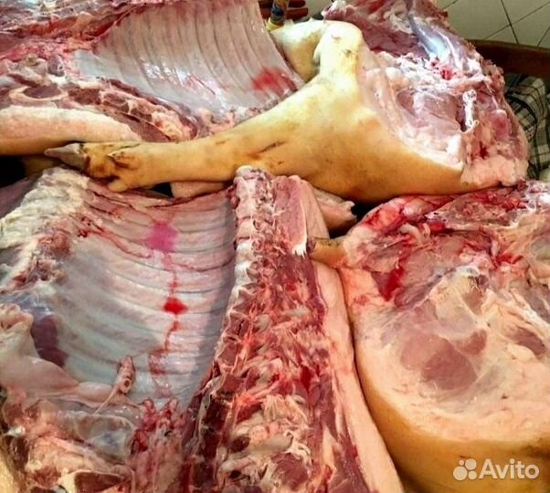 Мясо свинины