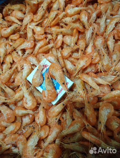 Креветка черноморская