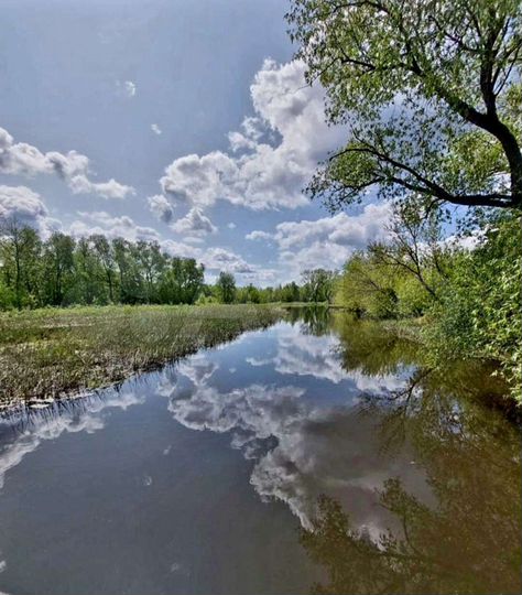 Участок 31 сот. (ИЖС)