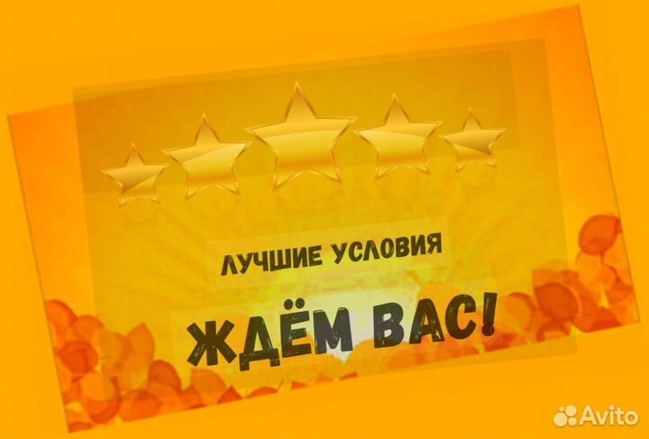 Наборщик заказов Без опыта Еженедельные выплаты