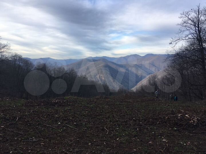 Участок 94 сот. (СНТ, ДНП)