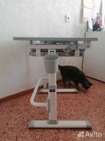 Растущая парта cubby