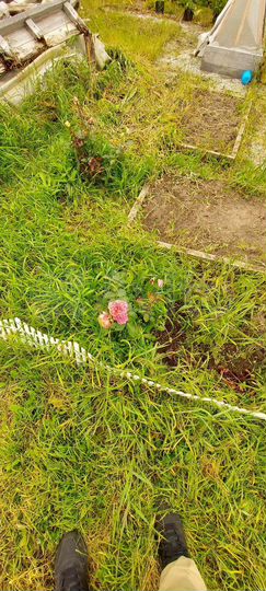 Дача 35 м² на участке 9 сот.