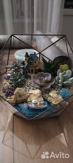 Флорариум подарок