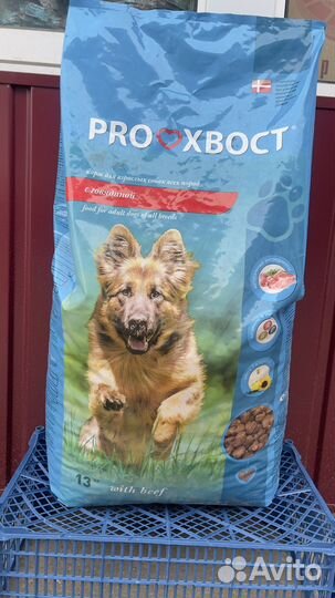 Сухие корма для кошек и собак