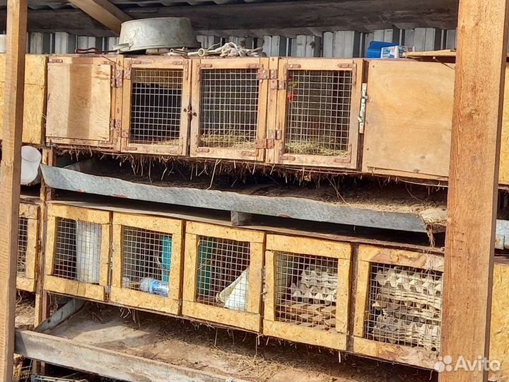 Клетка для кролика,кур