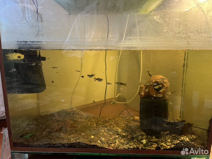 Аквариум с рыбками
